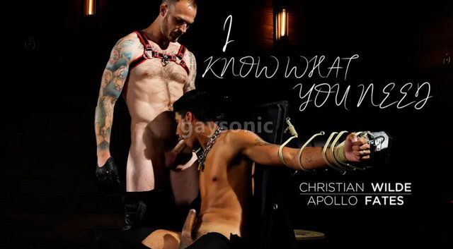 KM - Christian Wilde and Apollo Fates I Know What You Need